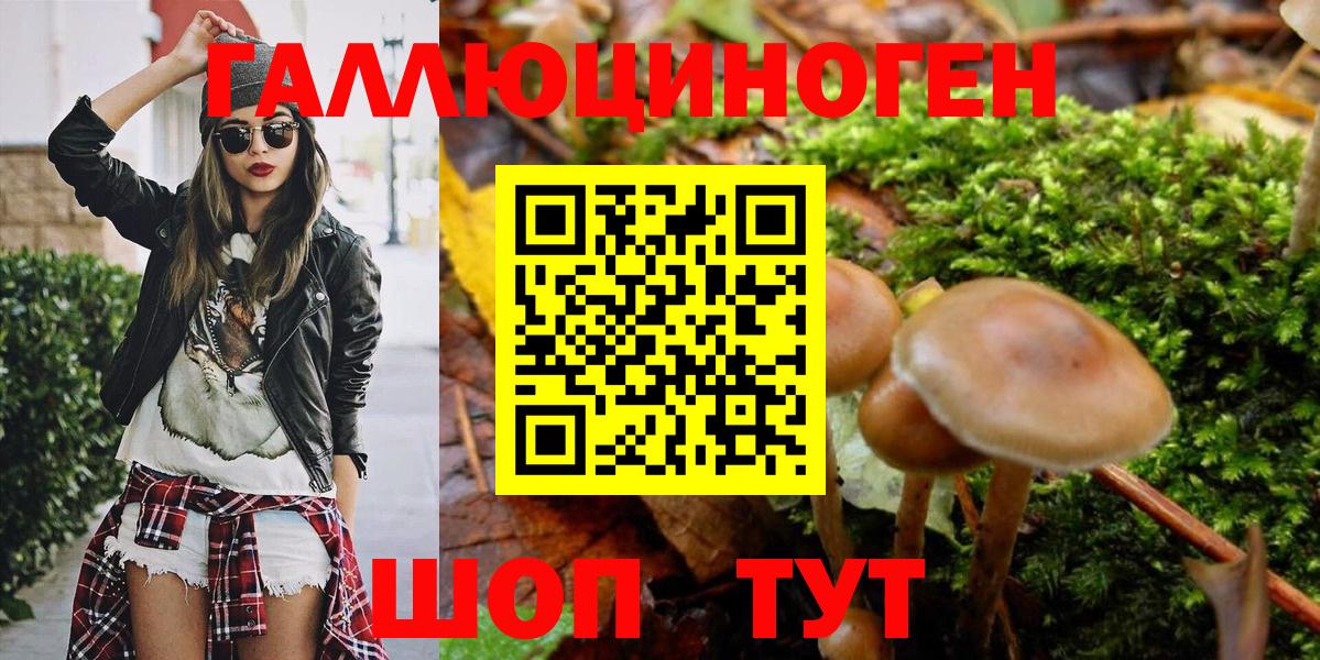 где найти наркотики  Галлюциногенные грибы Psilocybe  Вход с VPN  Спасск-Дальний 